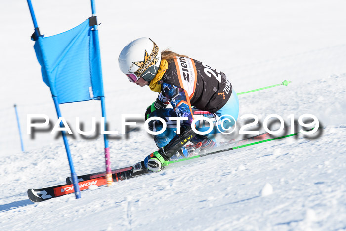 Ziener Kids-Cross M/OL U12 Race Cross III + II