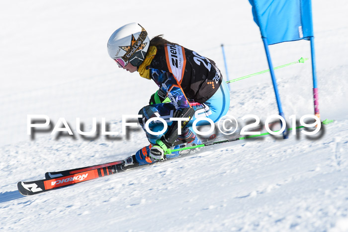 Ziener Kids-Cross M/OL U12 Race Cross III + II