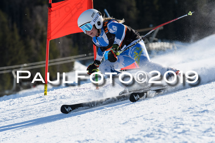 Ziener Kids-Cross M/OL U12 Race Cross III + II