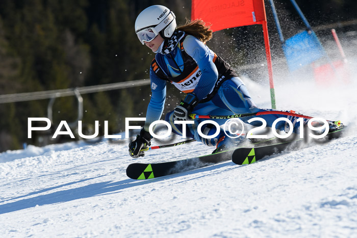 Ziener Kids-Cross M/OL U12 Race Cross III + II