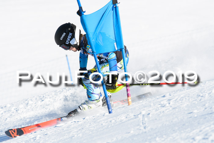 Ziener Kids-Cross M/OL U12 Race Cross III + II