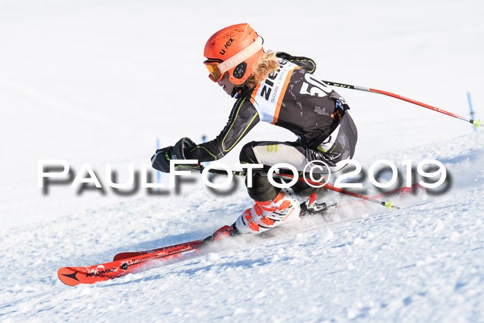 Ziener Kids-Cross M/OL U12 Race Cross III + II