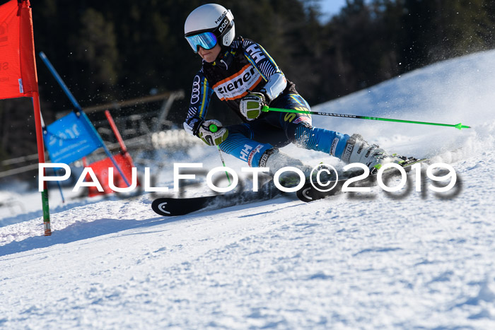 Ziener Kids-Cross M/OL U12 Race Cross III + II