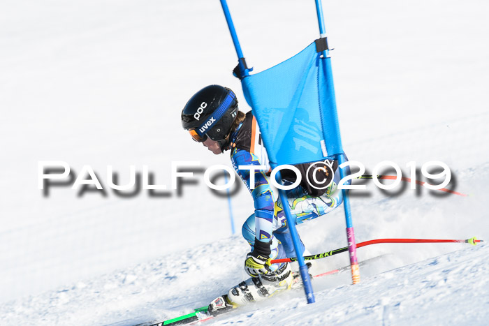 Ziener Kids-Cross M/OL U12 Race Cross III + II