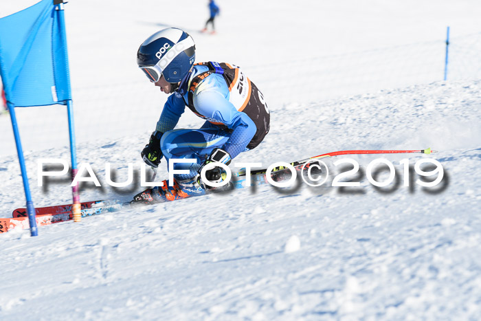 Ziener Kids-Cross M/OL U12 Race Cross III + II