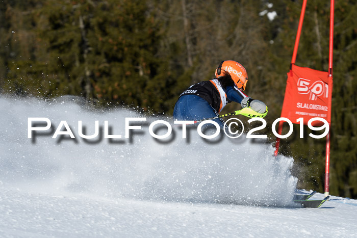 Ziener Kids-Cross M/OL U12 Race Cross III + II