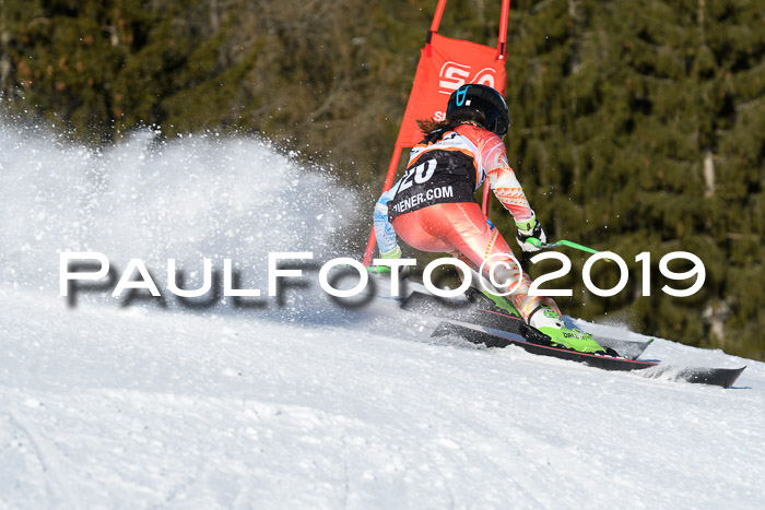 Ziener Kids-Cross M/OL U12 Race Cross III + II