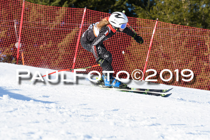 Ziener Kids-Cross M/OL U12 Race Cross III + II