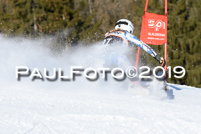 Ziener Kids-Cross M/OL U12 Race Cross III + II