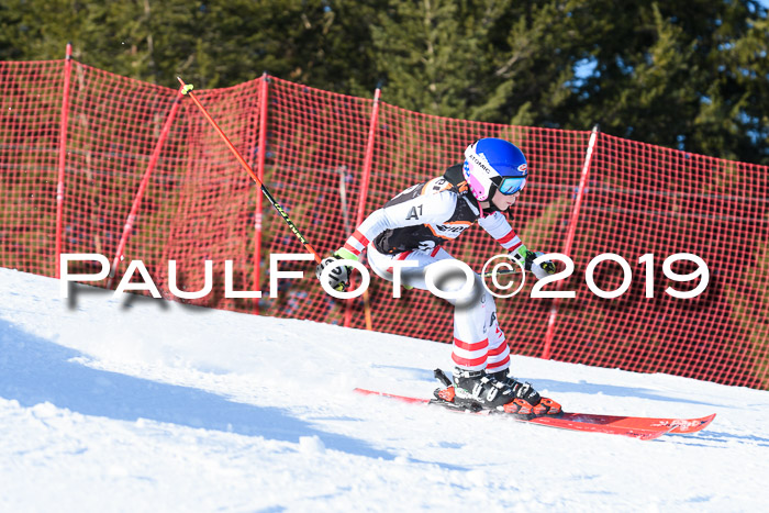 Ziener Kids-Cross M/OL U12 Race Cross III + II