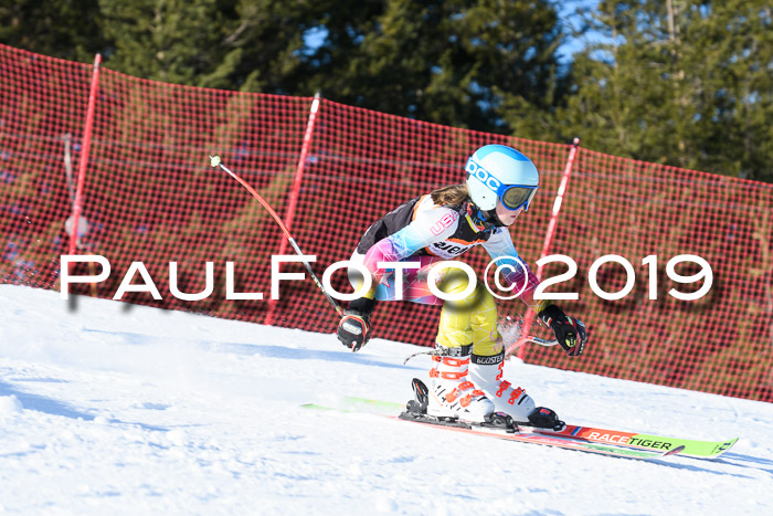 Ziener Kids-Cross M/OL U12 Race Cross III + II
