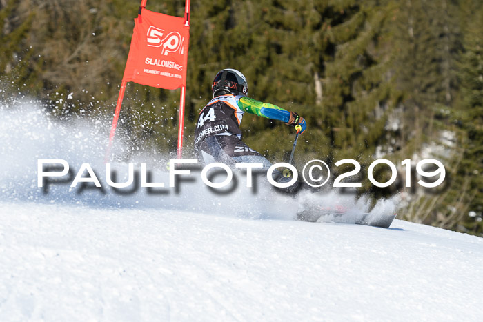 Ziener Kids-Cross M/OL U12 Race Cross III + II