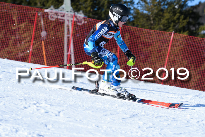 Ziener Kids-Cross M/OL U12 Race Cross III + II
