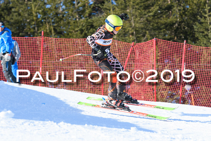 Ziener Kids-Cross M/OL U12 Race Cross III + II