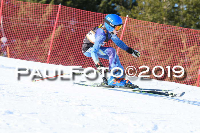 Ziener Kids-Cross M/OL U12 Race Cross III + II