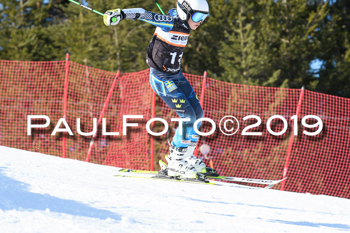 Ziener Kids-Cross M/OL U12 Race Cross III + II