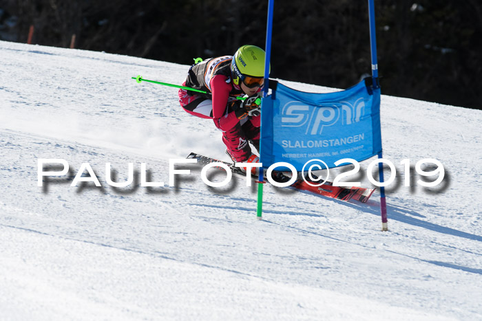 Ziener Kids-Cross M/OL U12 Race Cross III + II
