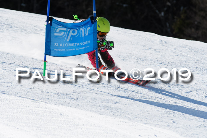 Ziener Kids-Cross M/OL U12 Race Cross III + II