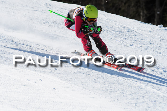 Ziener Kids-Cross M/OL U12 Race Cross III + II