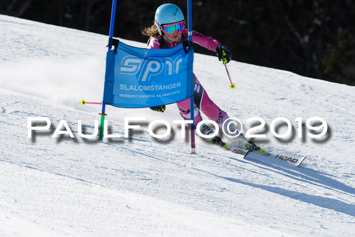 Ziener Kids-Cross M/OL U12 Race Cross III + II