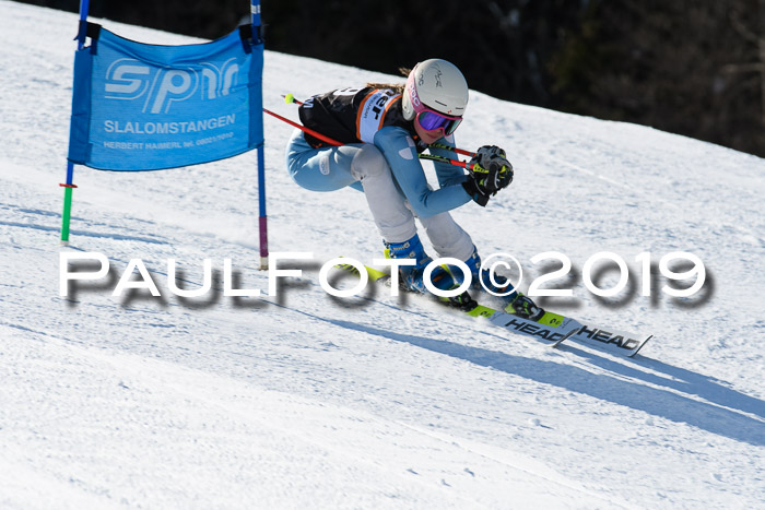 Ziener Kids-Cross M/OL U12 Race Cross III + II