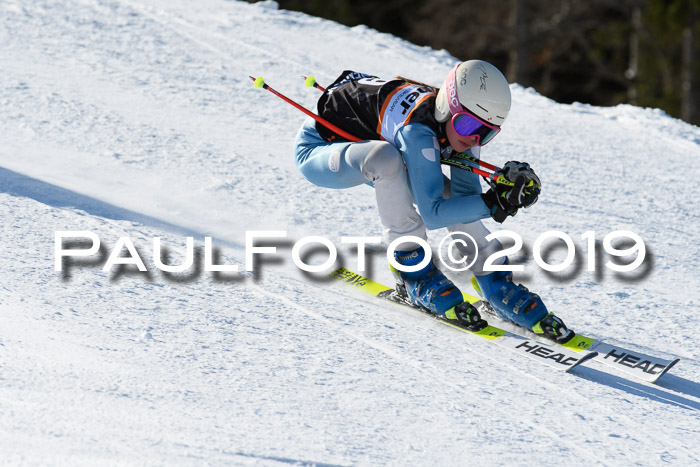 Ziener Kids-Cross M/OL U12 Race Cross III + II
