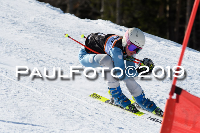 Ziener Kids-Cross M/OL U12 Race Cross III + II