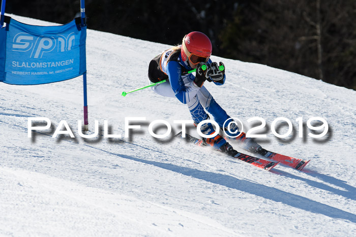 Ziener Kids-Cross M/OL U12 Race Cross III + II