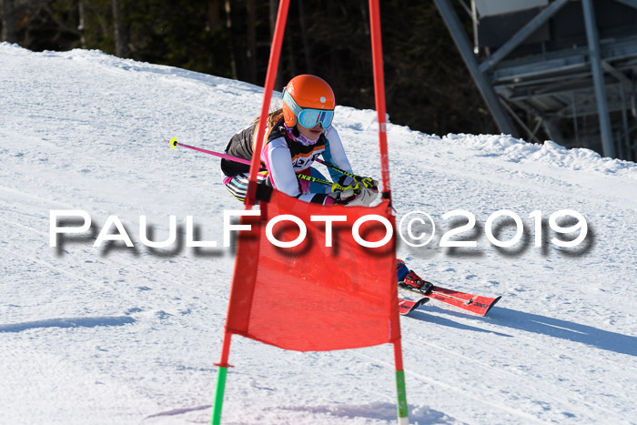 Ziener Kids-Cross M/OL U12 Race Cross III + II