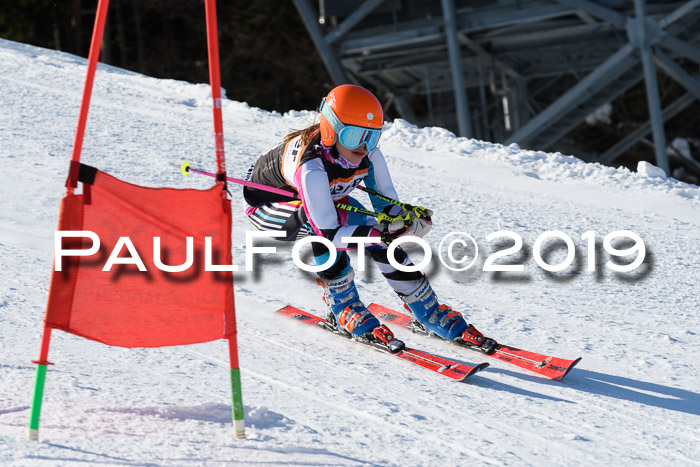 Ziener Kids-Cross M/OL U12 Race Cross III + II