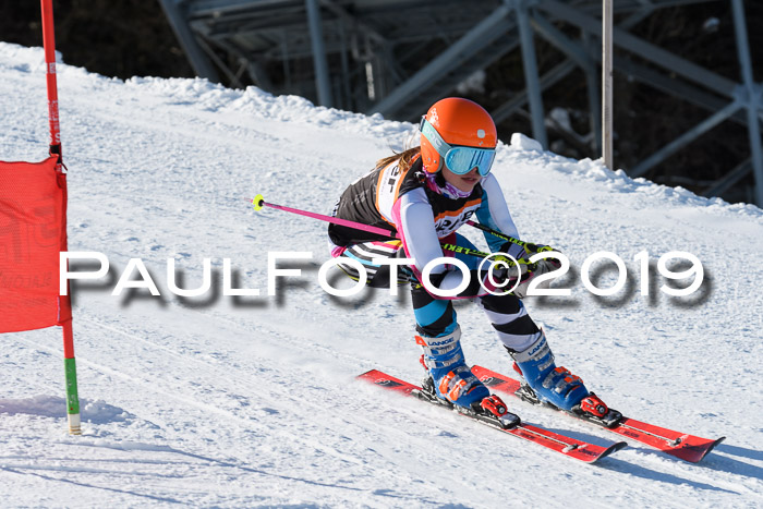 Ziener Kids-Cross M/OL U12 Race Cross III + II