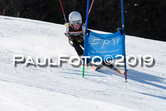 Ziener Kids-Cross M/OL U12 Race Cross III + II