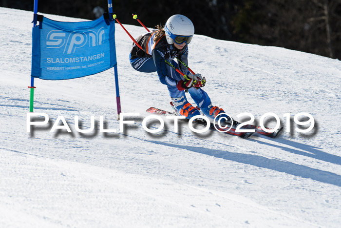 Ziener Kids-Cross M/OL U12 Race Cross III + II