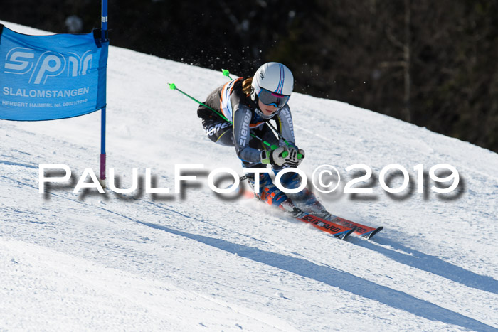 Ziener Kids-Cross M/OL U12 Race Cross III + II