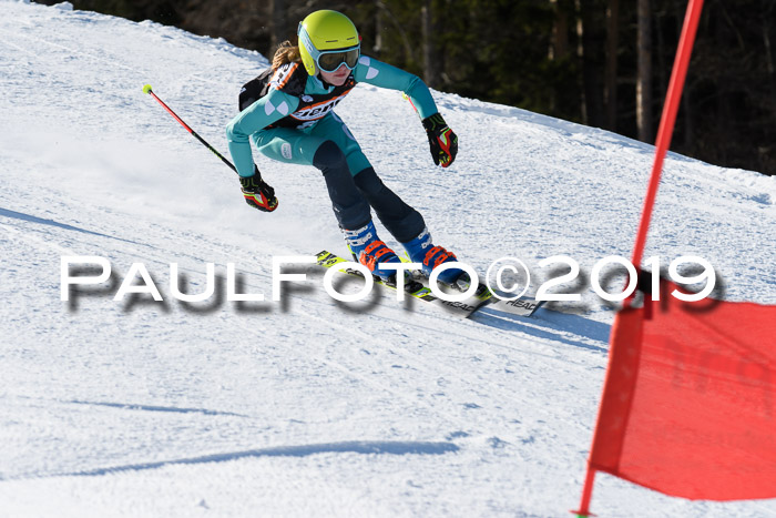 Ziener Kids-Cross M/OL U12 Race Cross III + II