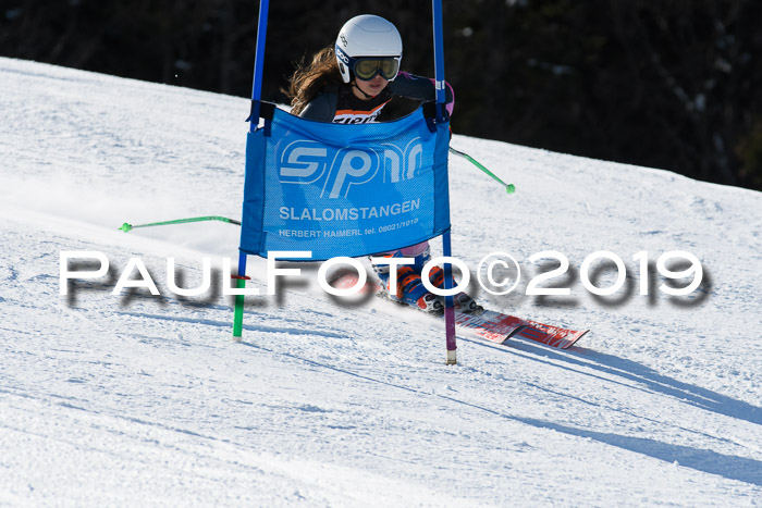 Ziener Kids-Cross M/OL U12 Race Cross III + II