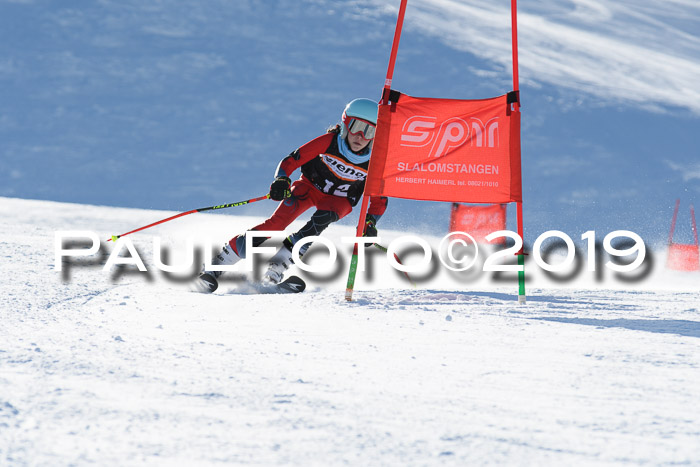 Ziener Kids-Cross M/OL U12 Race Cross III + II