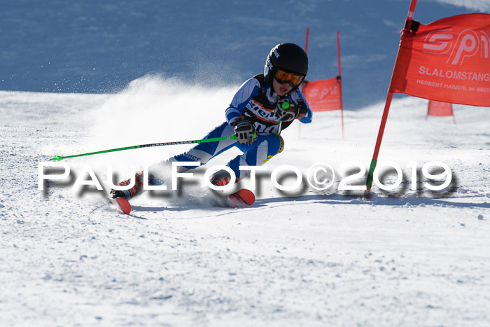Ziener Kids-Cross M/OL U12 Race Cross III + II