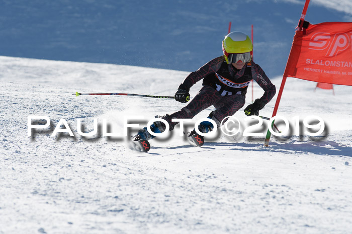 Ziener Kids-Cross M/OL U12 Race Cross III + II