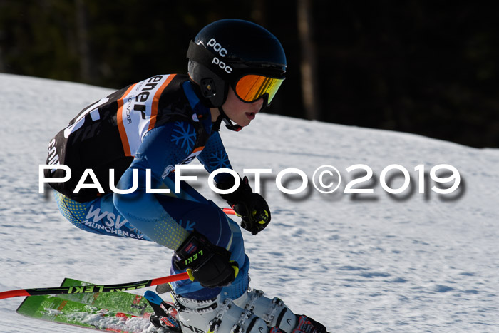 Ziener Kids-Cross M/OL U12 Race Cross III + II