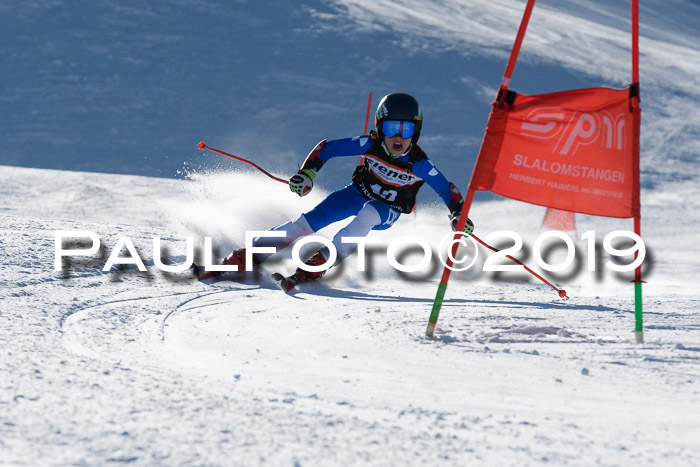 Ziener Kids-Cross M/OL U12 Race Cross III + II