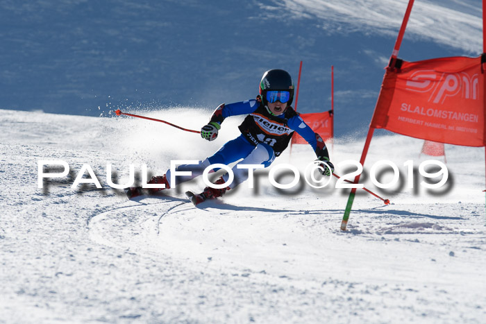 Ziener Kids-Cross M/OL U12 Race Cross III + II