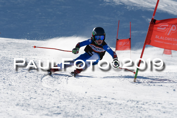 Ziener Kids-Cross M/OL U12 Race Cross III + II