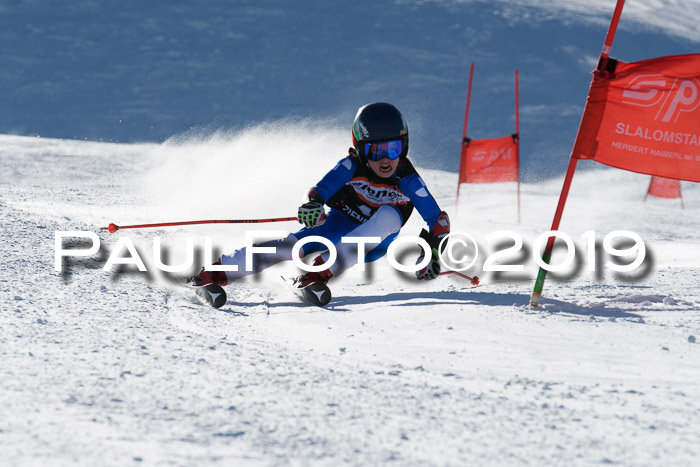 Ziener Kids-Cross M/OL U12 Race Cross III + II