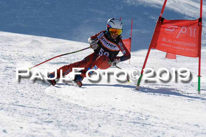 Ziener Kids-Cross M/OL U12 Race Cross III + II