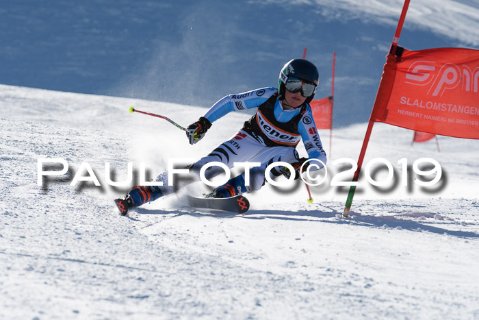 Ziener Kids-Cross M/OL U12 Race Cross III + II