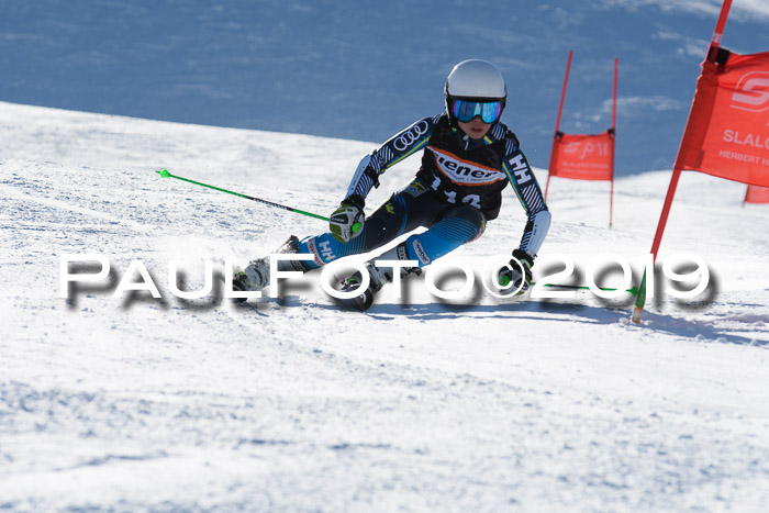 Ziener Kids-Cross M/OL U12 Race Cross III + II