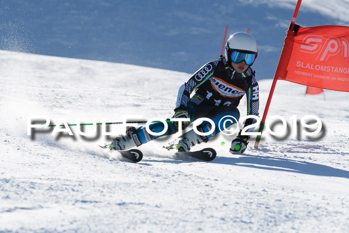 Ziener Kids-Cross M/OL U12 Race Cross III + II