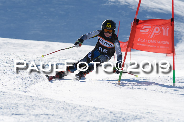 Ziener Kids-Cross M/OL U12 Race Cross III + II