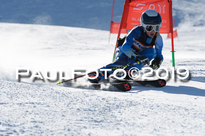 Ziener Kids-Cross M/OL U12 Race Cross III + II
